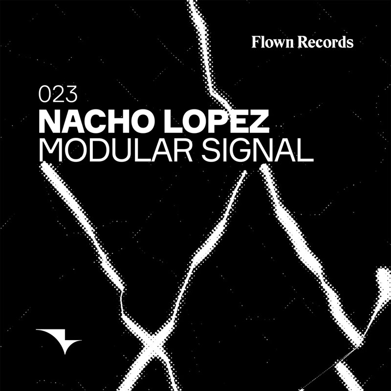Modular Signal EP — Flown Records